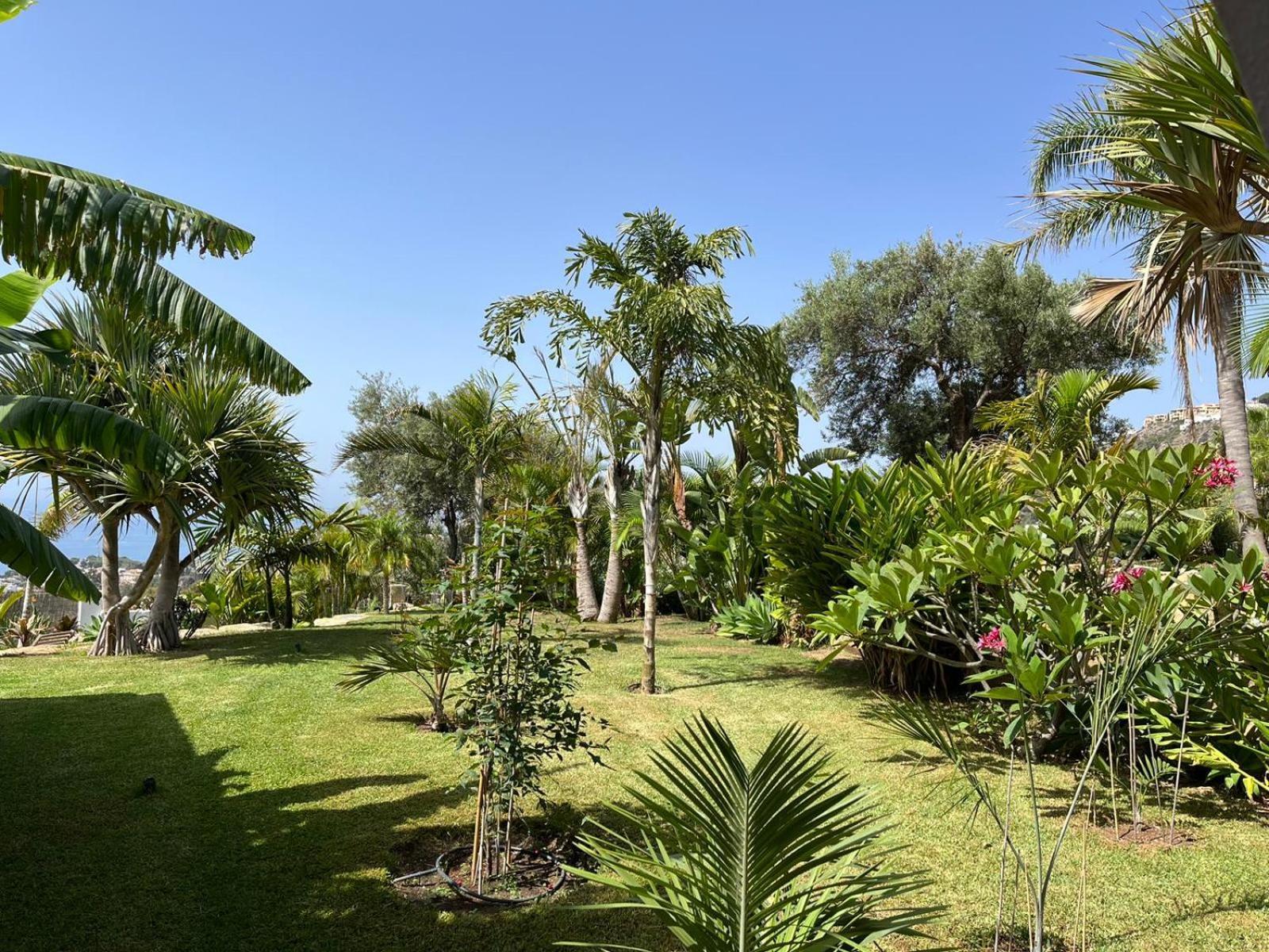 Bed & Breakfast In Villa Eden Palm Benalmádena Extérieur photo